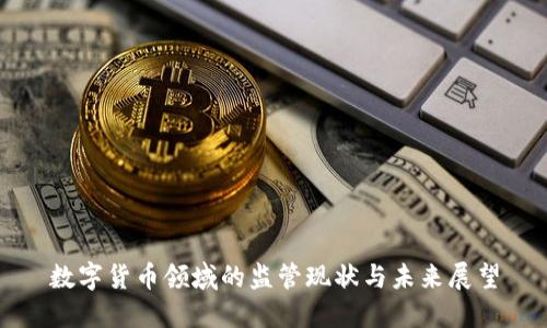 数字货币领域的监管现状与未来展望