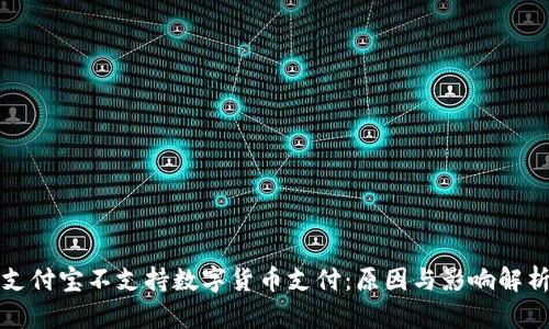 支付宝不支持数字货币支付：原因与影响解析