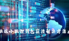 电脑端小狐狸钱包崩溃解决方法大全
