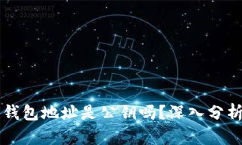 以太坊钱包地址是公钥吗？深入分析与解读