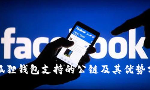 小狐狸钱包支持的公链及其优势分析