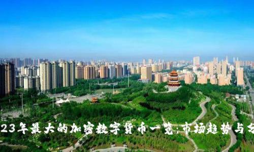 2023年最大的加密数字货币一览：市场趋势与分析