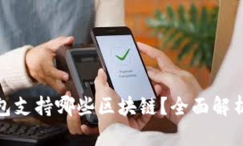 : 小狐狸钱包支持哪些区块链？全面解析与使用指南