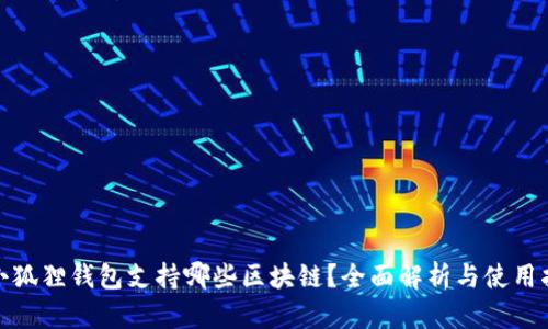 : 小狐狸钱包支持哪些区块链？全面解析与使用指南