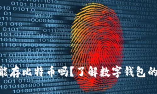 MetaMask能存比特币吗？了解数字钱包的限制与优势