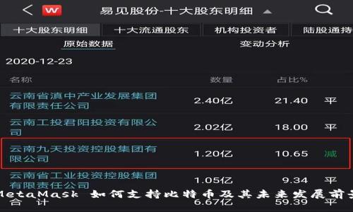 MetaMask 如何支持比特币及其未来发展前景