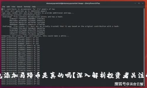 小狐狸钱包添加马蹄币是真的吗？深入解析投资者关注的核心问题