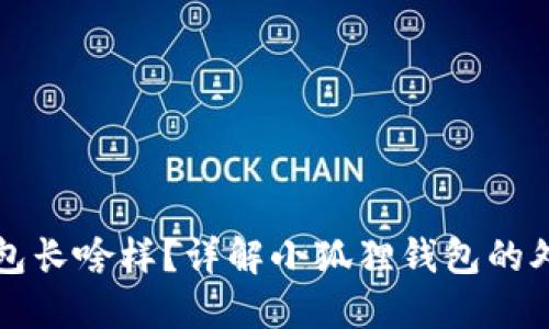 小狐狸钱包长啥样？详解小狐狸钱包的外观与功能