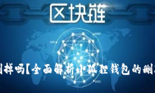 小狐狸钱包可以删掉吗？全面解析小狐狸钱包的删改与使用注意事项