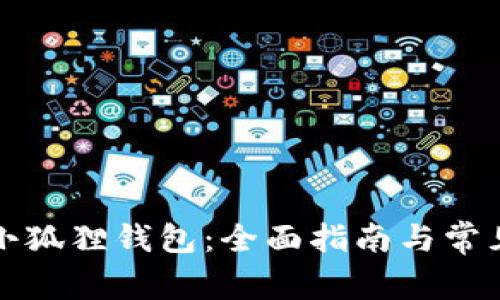 如何导入小狐狸钱包：全面指南与常见问题解答