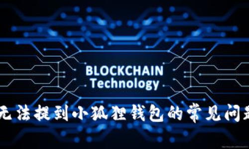 解决Core币无法提到小狐狸钱包的常见问题及解决方案